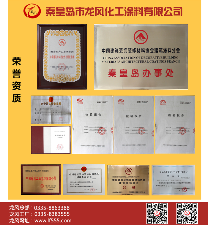 龍風(fēng)榮譽資質(zhì).png